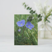 Blue Flowers Postcard Postkarte (Stehend Vorderseite)