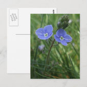 Blue Flowers Postcard Postkarte (Vorne/Hinten)
