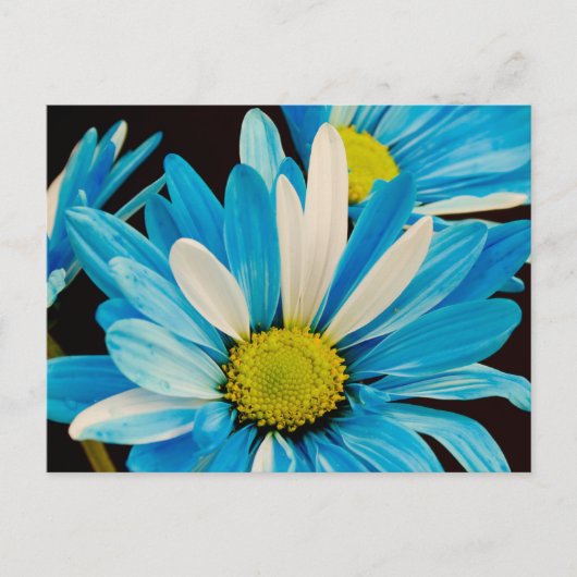 Blue Flowers Postcard Postkarte (Vorderseite)