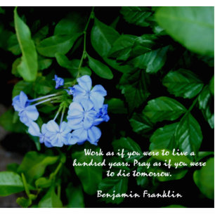 BLUE FLOWERWORD FOTO SCULPTURE MAGNET 2x3 Fotoskulptur Magnet