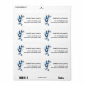 Blue Flying Butterflies Morpho (Vorne)