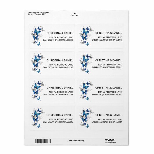 Blue Flying Butterflies Morpho (Vorne)