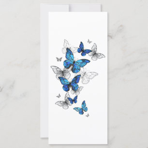 Blue Flying Butterflies Morpho