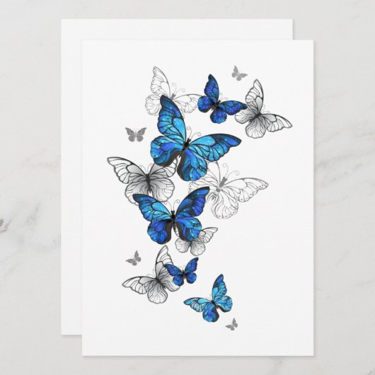 Blue Flying Butterflies Morpho Ankündigung (Vorne/Hinten)
