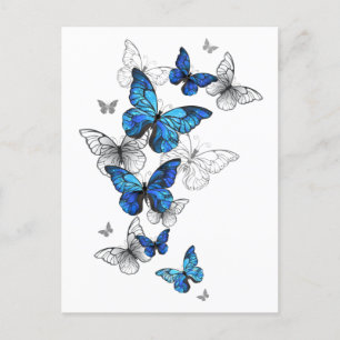 Blue Flying Butterflies Morpho Ankündigungspostkarte