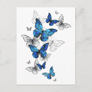 Blue Flying Butterflies Morpho Feiertagspostkarte