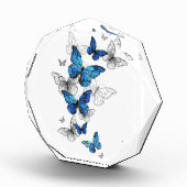 Blue Flying Butterflies Morpho Fotoblock (Rechts)