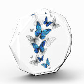 Blue Flying Butterflies Morpho Fotoblock (Links)