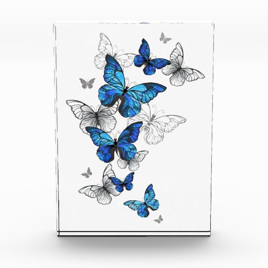 Blue Flying Butterflies Morpho Fotoblock (Vorderseite)