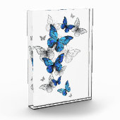 Blue Flying Butterflies Morpho Fotoblock (Links)