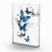 Blue Flying Butterflies Morpho Fotoblock (Rechts)