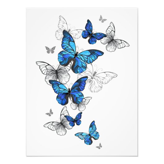 Blue Flying Butterflies Morpho Fotodruck (Vorne)