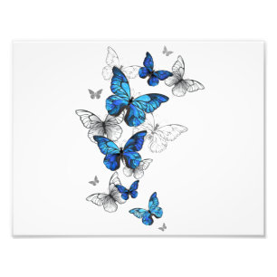 Blue Flying Butterflies Morpho Fotodruck