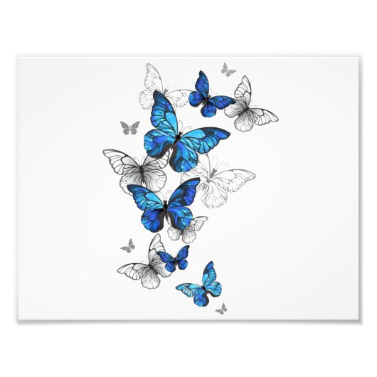 Blue Flying Butterflies Morpho Fotodruck (Vorne)