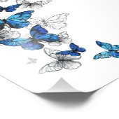 Blue Flying Butterflies Morpho Fotodruck (Ecke)