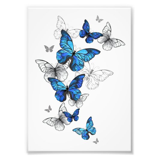 Blue Flying Butterflies Morpho Fotodruck (Vorne)