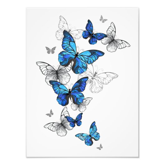Blue Flying Butterflies Morpho Fotodruck (Vorne)