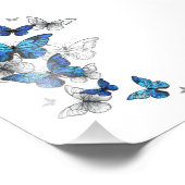 Blue Flying Butterflies Morpho Fotodruck (Ecke)