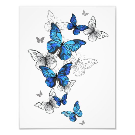 Blue Flying Butterflies Morpho Fotodruck (Vorne)