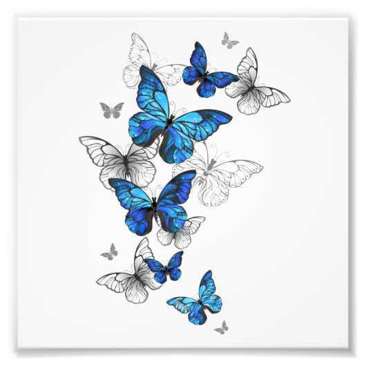 Blue Flying Butterflies Morpho Fotodruck (Vorne)