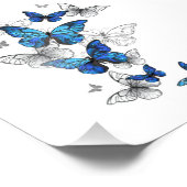 Blue Flying Butterflies Morpho Fotodruck (Ecke)