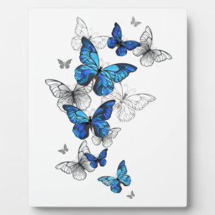 Blue Flying Butterflies Morpho Fotoplatte