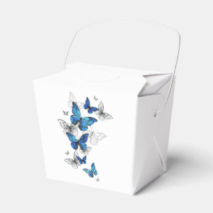 Blue Flying Butterflies Morpho Geschenkschachtel