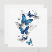 Blue Flying Butterflies Morpho Hinweiskarte (Vorne/Hinten)