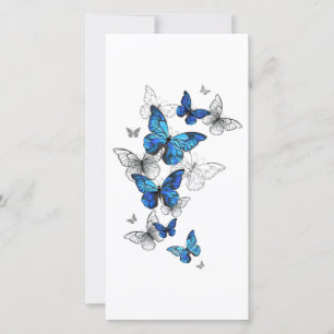 Blue Flying Butterflies Morpho Karte