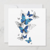 Blue Flying Butterflies Morpho Karte (Vorderseite)