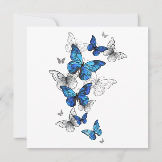 Blue Flying Butterflies Morpho Karte (Vorderseite)