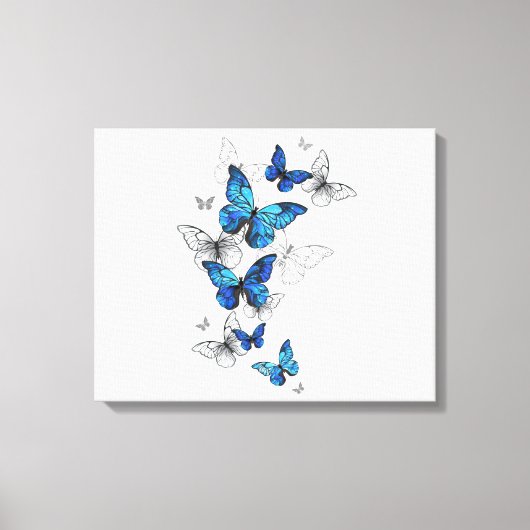 Blue Flying Butterflies Morpho Leinwanddruck (Vorderseite)