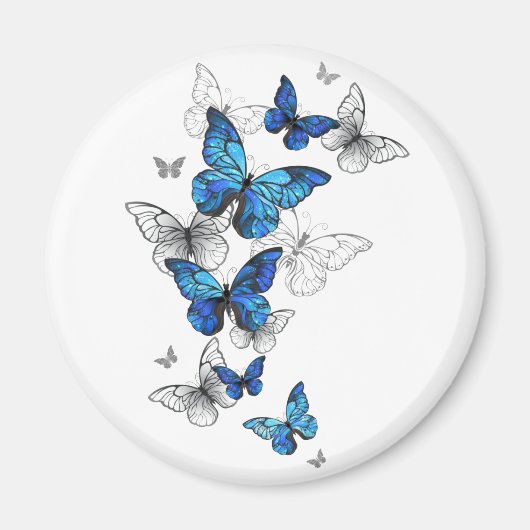 Blue Flying Butterflies Morpho Magnet (Vorne)