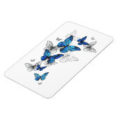 Blue Flying Butterflies Morpho Magnet (Linke Seite)