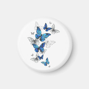 Blue Flying Butterflies Morpho Magnet