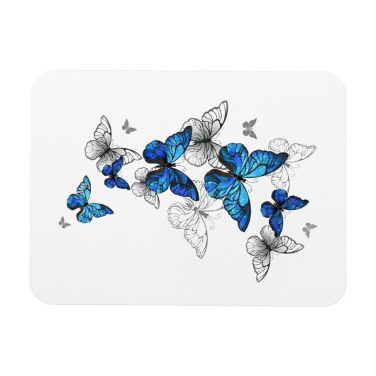 Blue Flying Butterflies Morpho Magnet (Horizontal)