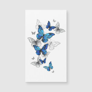 Blue Flying Butterflies Morpho Magnetkarte