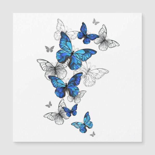 Blue Flying Butterflies Morpho Magnetkarte (Vorderseite)