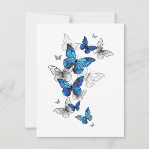 Blue Flying Butterflies Morpho Mitteilungskarte