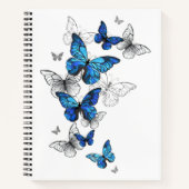 Blue Flying Butterflies Morpho Notizblock (Vorderseite)