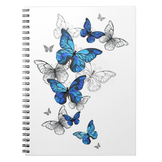 Blue Flying Butterflies Morpho Notizblock (Vorderseite)