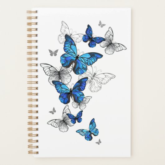 Blue Flying Butterflies Morpho Planer (Vorderseite)