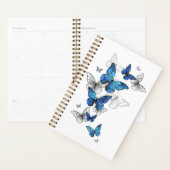Blue Flying Butterflies Morpho Planer (Anzeige)