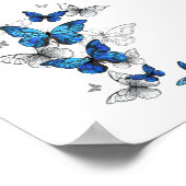 Blue Flying Butterflies Morpho Poster (Ecke)