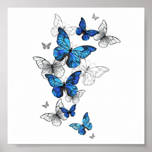 Blue Flying Butterflies Morpho Poster (Vorne)