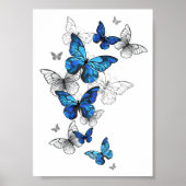 Blue Flying Butterflies Morpho Poster (Vorne)