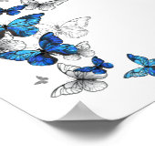 Blue Flying Butterflies Morpho Poster (Ecke)