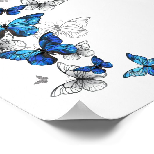 Blue Flying Butterflies Morpho Poster (Ecke)