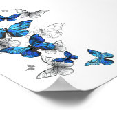 Blue Flying Butterflies Morpho Poster (Ecke)