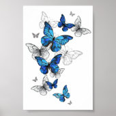 Blue Flying Butterflies Morpho Poster (Vorne)